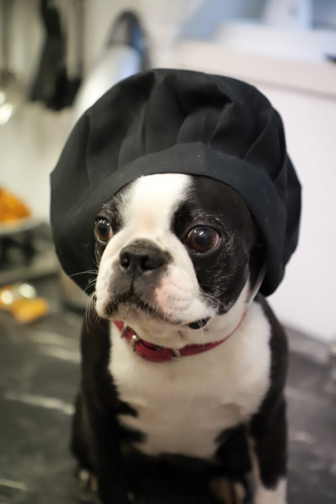 Leseprobe: Strolchis Tagebuch - Teil 946