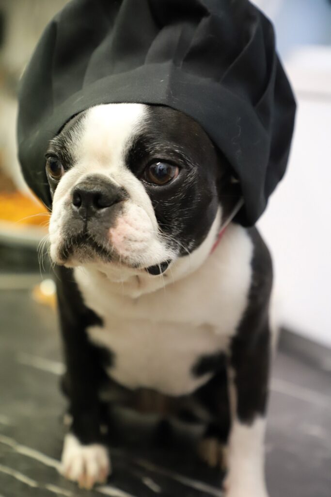 Leseprobe: Strolchis Tagebuch - Teil 946