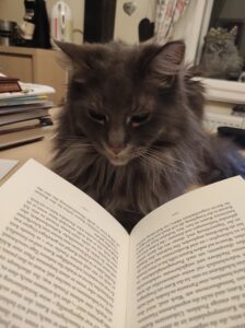 Strolchis Buchvorstellung Schöffling Verlag "Das Buch, von dem deine Katze sich wünscht, du würdest es lesen"