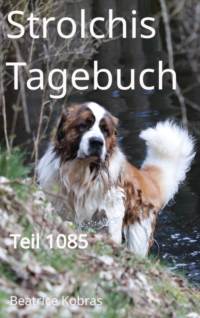 Baris in Strolchis Tagebuch