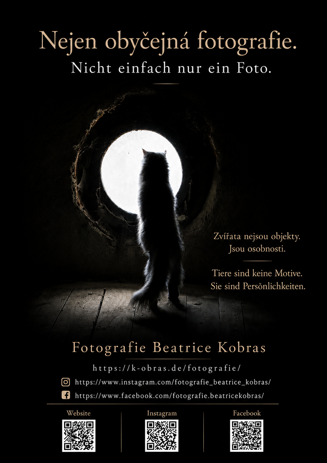 Fotografie Beatrice Kobras