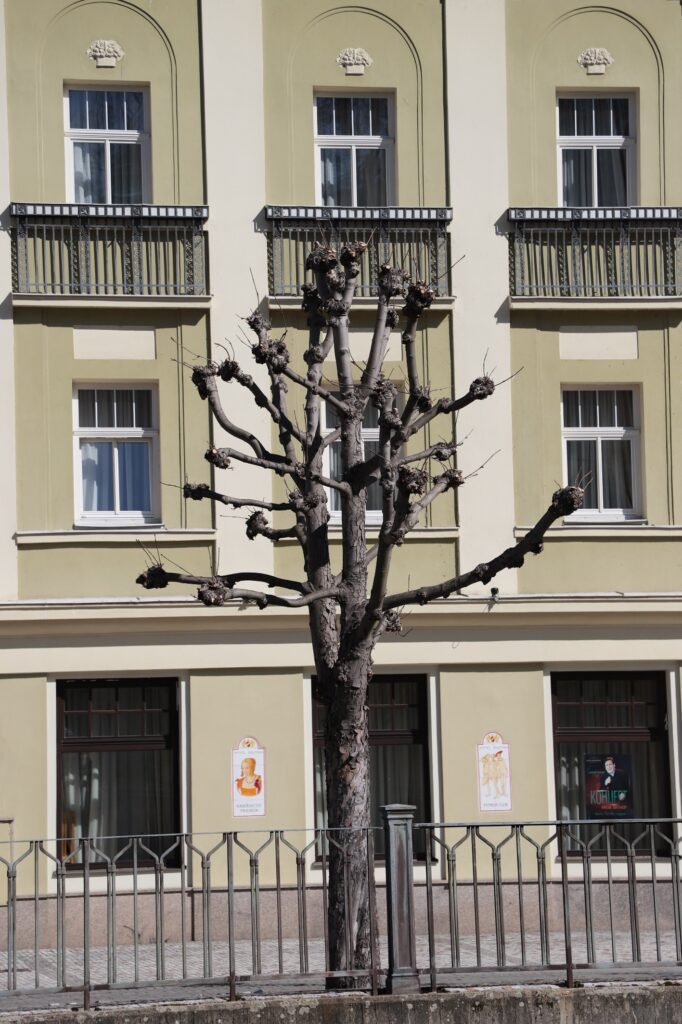 Karlsbad - Bild 73
