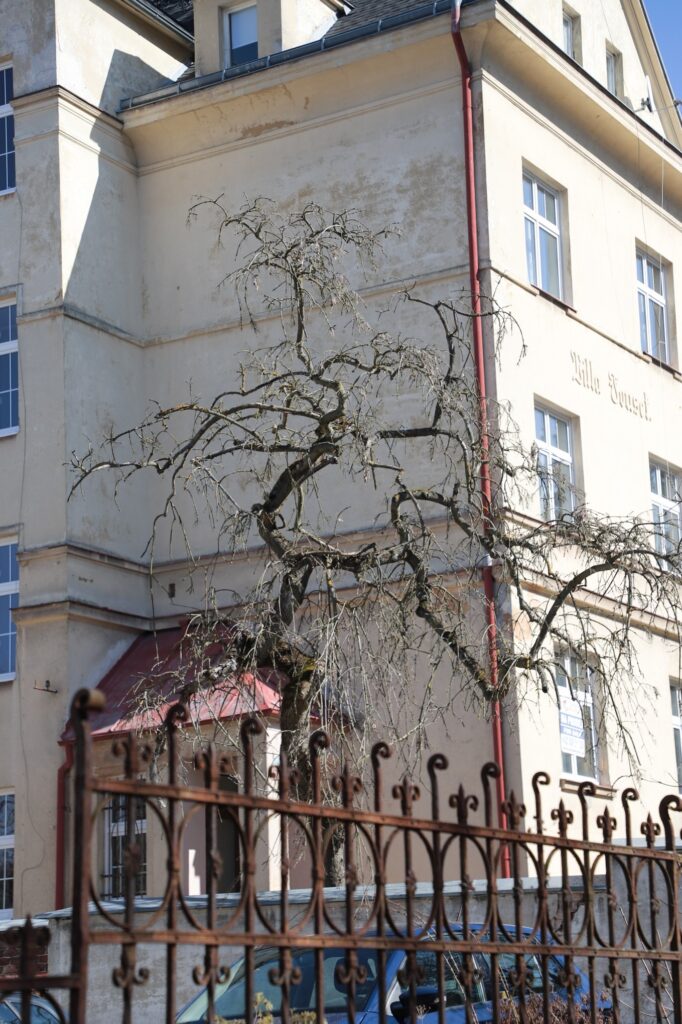 Karlsbad - Bild 8