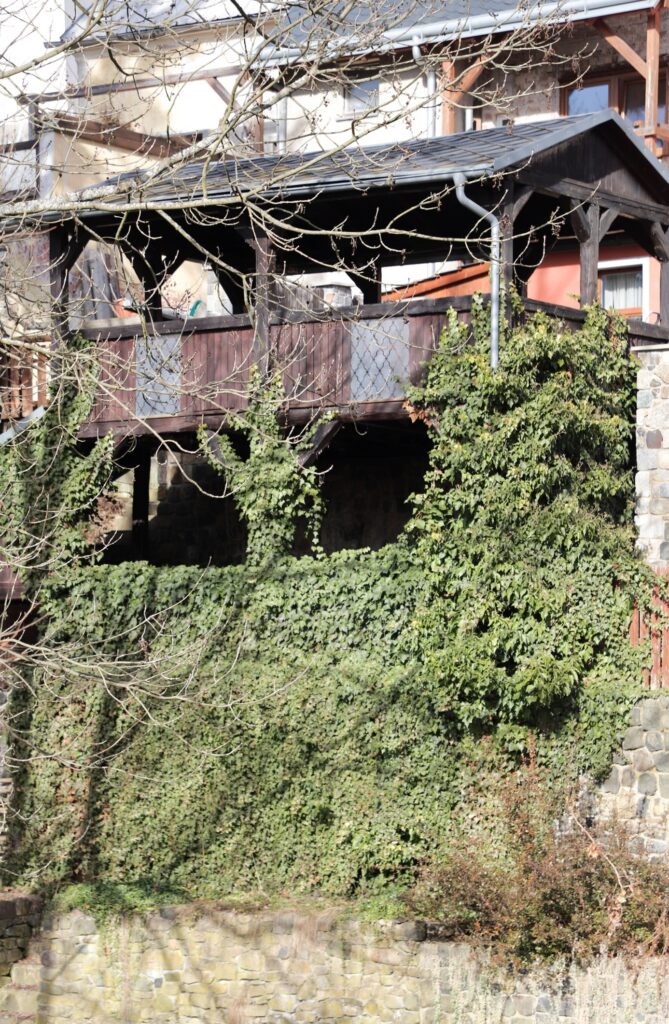 Ostrov - Bild 14