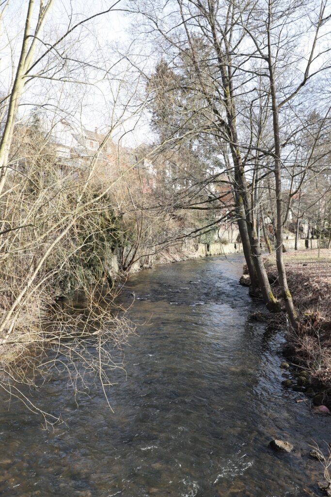 Ostrov - Bild 18