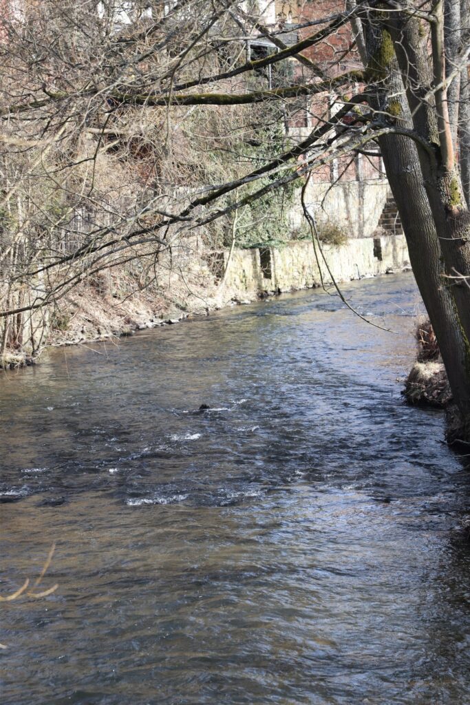 Ostrov - Bild 19