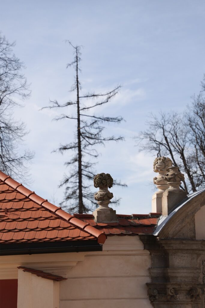 Ostrov - Bild 3