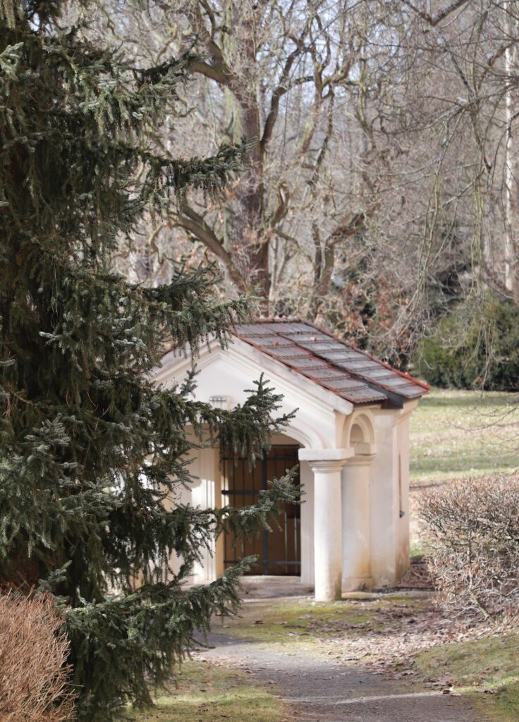 Ostrov - Bild 4