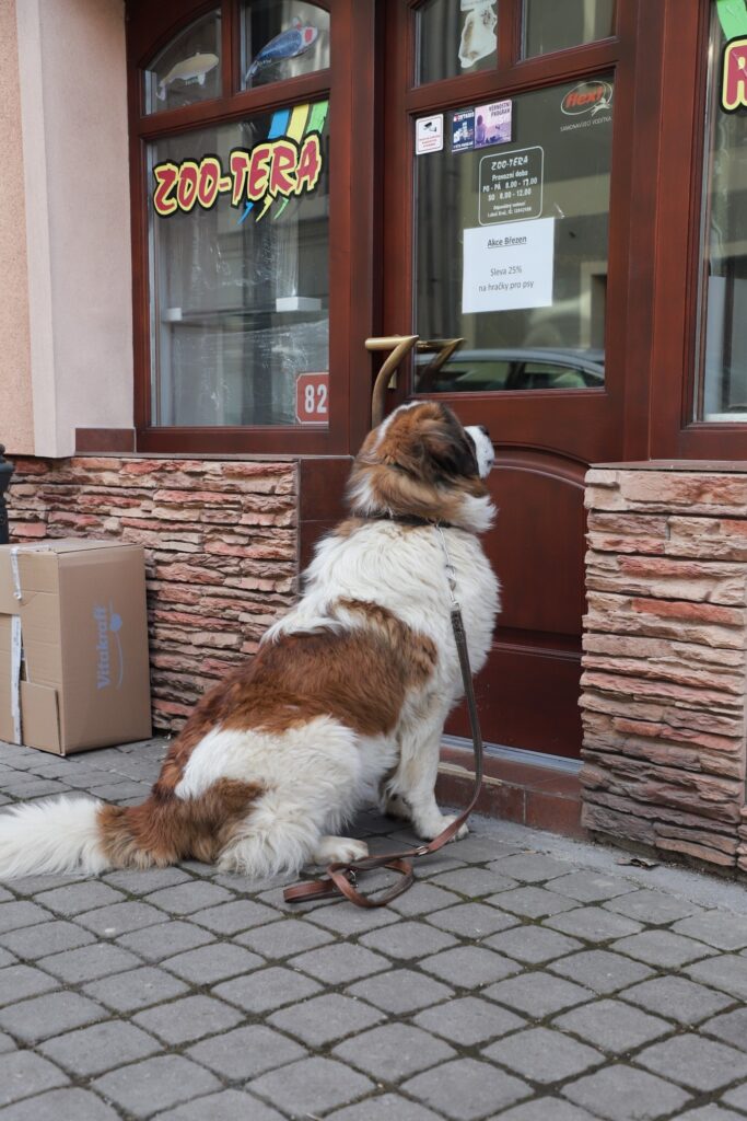 Ostrov - Bild 46
