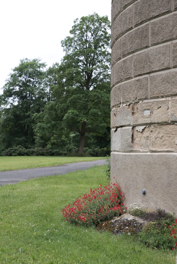 Schloss Bor - Bild 31