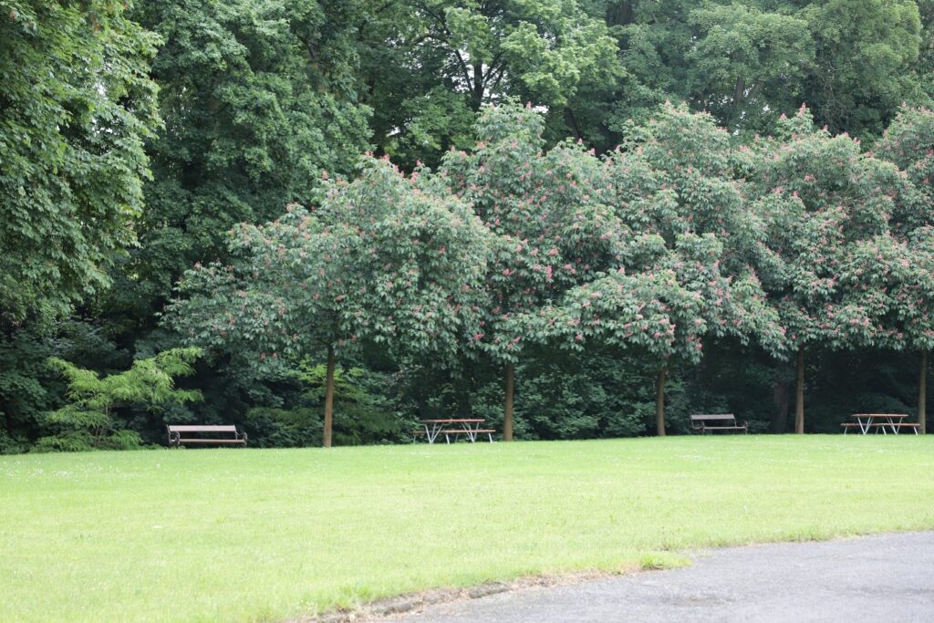 Schloss Bor - Bild 32