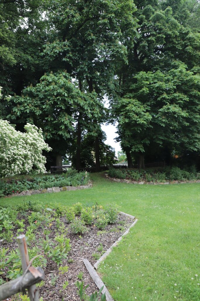 Schloss Bor - Bild 33