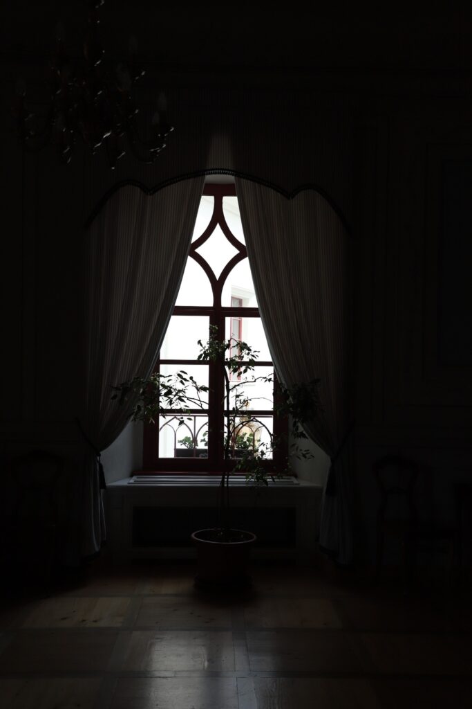 Schloss Bor - Bild 85