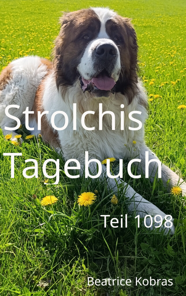 Tiergeschichten zum Schmunzeln - Strolchis Tagebuch