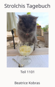 Ein Kater zum verlieben. Strolchis Tagebuch DAS KATZENBUCH