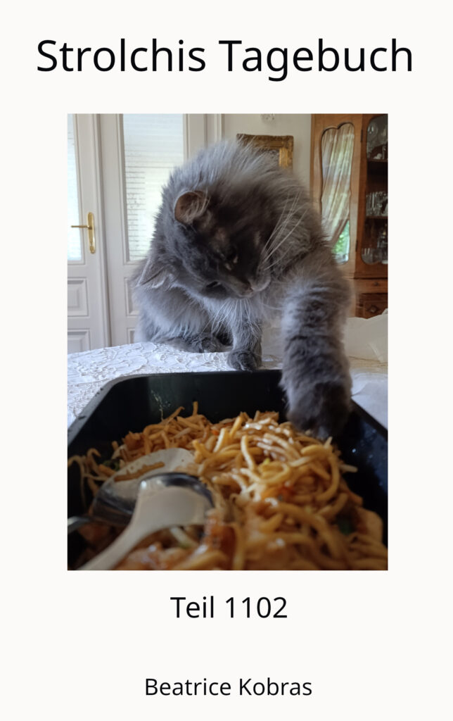 Strolchis Tagebuch - Eine Katze zum verlieben