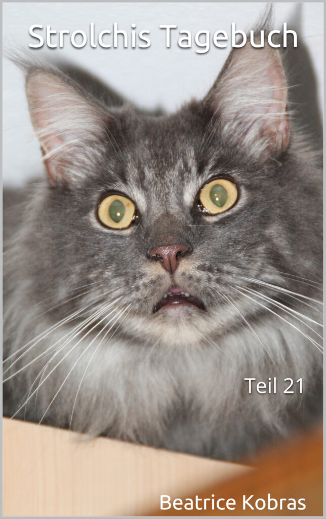süße Katzengeschichten
